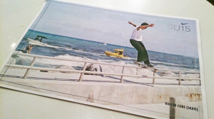 NIKE SB 2015 SUMMER カタログ